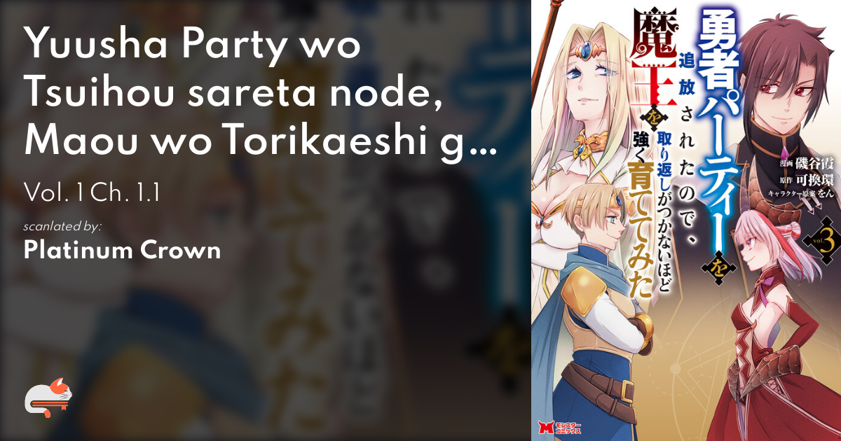 Light Novel Like Yuusha Party wo Tsuihou Sareta node, Maou wo