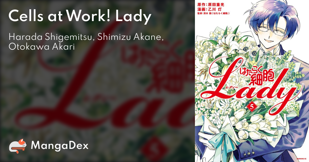 Hataraku Saibo LADY (Cells at Work! LADY) vol.2 - Morning Comics (Japanese  version)