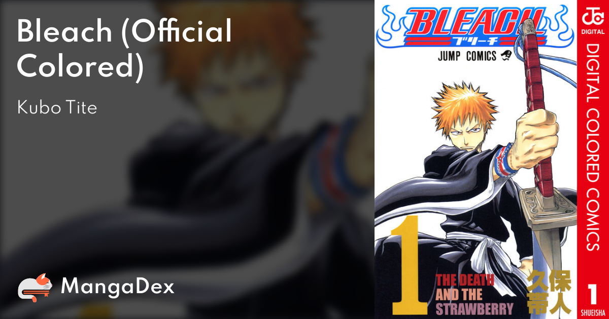 BLEACH Manga Volume 10